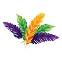 vector realistic feathers color set with isolated