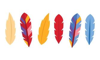 Vector exotic bird feathers set on white background