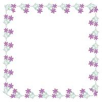 Vector hand drawn floral frame on white background