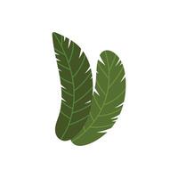 vector monochromatic tropical leaves on white