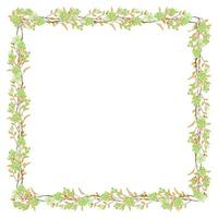 Vector hand drawn floral frame on white background