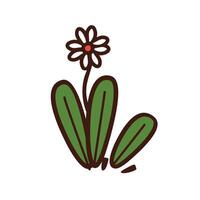 vector hand drawn spring flower on white background