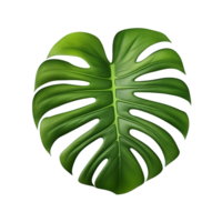 ai gerado transparente tropical charme, monstera folha Cortar fora png