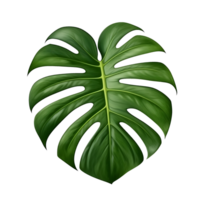 AI generated Clear Elegance, Cutout Monstera Leaf png