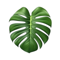 AI generated Tropical Transparency, Monstera Leaf on a Clear Background png