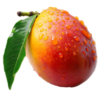 AI generated Mango in Focus, Cut Out on a Transparent Canvas png