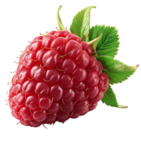 AI generated Contemporary Clarity, Raspberry Cutout on Transparent Background png