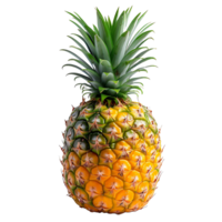 ai generado piña en enfocar, cortar fuera en un transparente lona png