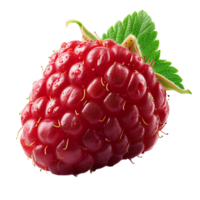 AI generated Minimalist Raspberry Cutout on a Clear Background png