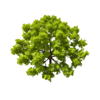 AI generated Elevated Serenity Top View Greenery with Transparency png