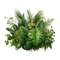 ai gerado tropical transparência arbusto folhagem dentro natureza arranjo png