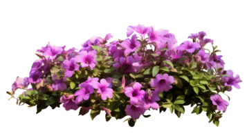 AI generated Isolated Flowerbed with Pink Blossoms png