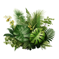 ai generado de la naturaleza elegancia transparente tropical hojas png