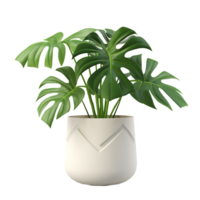 ai generiert isoliert Monstera Laub im ein Topf auf klar Hintergrund png