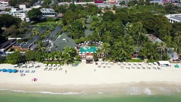 Aerial view on luxury house at the beach with palm trees and swimming pool. Top view of houses on the palm beach, pool and boat near a wooden pier. Aerial Top view landscape. video