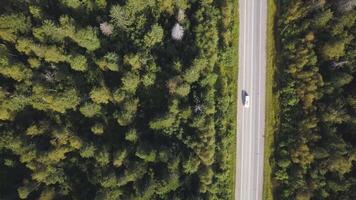 Flying over the beautiful forest trees and road. Shot. Aerial View. Car on a winding road in the hills. Aerial camera shot. Landscape panorama. Aerial view flying over old patched two lane forest road video