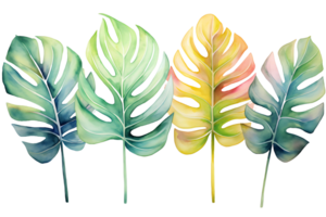 AI generated Watercolor tropical leaves collection featuring palm, monstera, and banana leaves in vibrant hues png