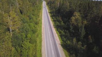 Aerial view from above of country road through the green summer forest in summer. Shot. Car driving. High angle view of a road trough the forest at the sunset with copy space. Top view of asphalt road video