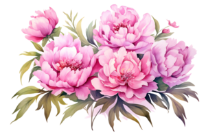 ai genererad rosa pion vattenfärg blommor blommig arrangemang för kort, inbjudan, dekoration png