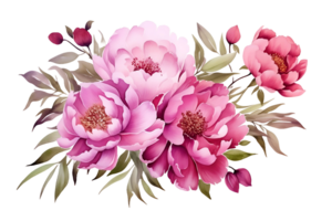 ai gegenereerd roze pioen waterverf bloemen bloemen arrangement voor kaart, uitnodiging, decoratie png