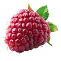 AI generated Cutting Edge Design, Transparent Raspberry Isolation png