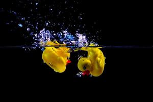 A toy duck falls into the water making a splash photo