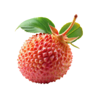 AI generated lychee fruits isolated on transparent background png