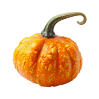 AI generated realistic pumpkin isolated on transparent background png