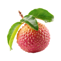 AI generated lychee fruits isolated on transparent background png