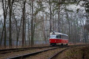 The tram rides on the rails in the forest. Foggy day in autumn. Environmentally friendly city transport. Kyiv, Ukraine. Electric tram. Fog. Tall ship pine trees.. Pine. Nature landscape. Trolley photo