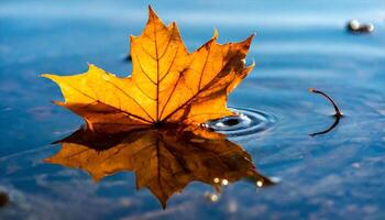 AI generated a single leaf floating in water with ripples photo