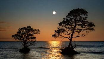 ai generado un solitario árbol en el medio de el Oceano a puesta de sol foto