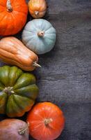 Set of different pumpkins background. Different varieties. Orange, green and gray pumpkin. Autumn harvest. Halloween and Thanksgiving food photo