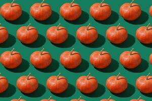 Pattern of pumpkins background. Autumn harvest. Pumpkin. Thanksgiving Day. Food for Halloween photo