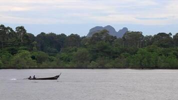 cauda longa grandes rabo barco nada dentro ao nang krabi tailândia. video