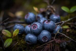 AI generated Heap blueberries in northern forest. Generate ai photo