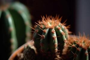 ai generado en conserva cactus planta de cerca. generar ai foto