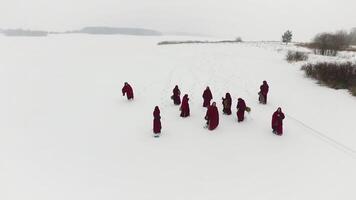 gruppo di escursionisti su neve pista nel il foresta. filmato. un' gruppo di turisti e cane su un' inverno camminare nel il inverno foresta sentiero video