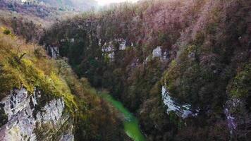 Antenne Aussicht fliegend Über ein Bach, Strom Wicklung durch ein Wald spät Nachmittag, schließen zu Sonnenuntergang mit Linse aufflackern. Clip. Antenne schön Berg Strom, Fluss umgeben durch Grün Bäume mit Kristall video