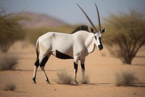 AI generated Oryx antelope wild safari reservation. Generate ai photo