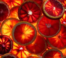 Red oranges fruit background. Sliced juicy orange. Food. Summer concept. Close-up on the light. Translucent photo