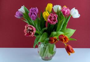 Bouquet of colorful tulips. Tulip spring flower. Floral flowers background photo