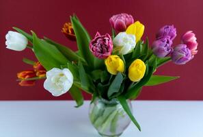 Mix of spring tulips flowers. Bouquet in a vase. Multi-colored spring flower. Gift. Red, pink, white and yellow. Background with flowers tulips close-up different colors photo