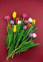 Bouquet of colorful tulips. Tulip spring flower. Floral flowers background photo