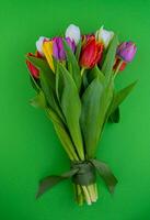 Bouquet of colorful tulips. Tulip spring flower. Floral flowers background photo