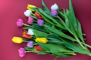 ramo de flores de vistoso tulipanes tulipán primavera flor. floral flores antecedentes foto