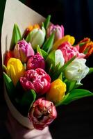 Bouquet of colorful tulips. Tulip spring flower. Floral flowers background photo