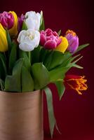 Bouquet of colorful tulips. Tulip spring flower. Floral flowers background photo