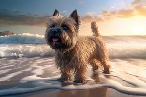 ai generado juguetón perrito mascota en sereno puesta de sol playa. generar ai foto