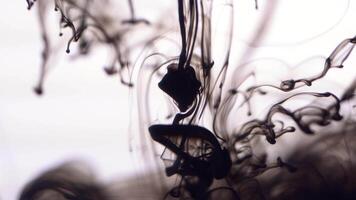 Close-up of paint mixing and black ink dropping into the water on a white background. Abstract background. video